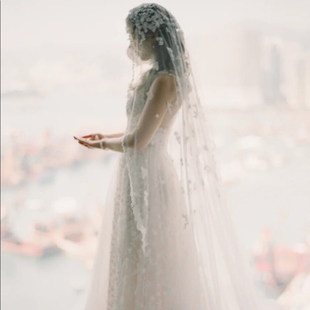 Daria Karlozi Wedding Dress and Veil - Picture 4 of 8